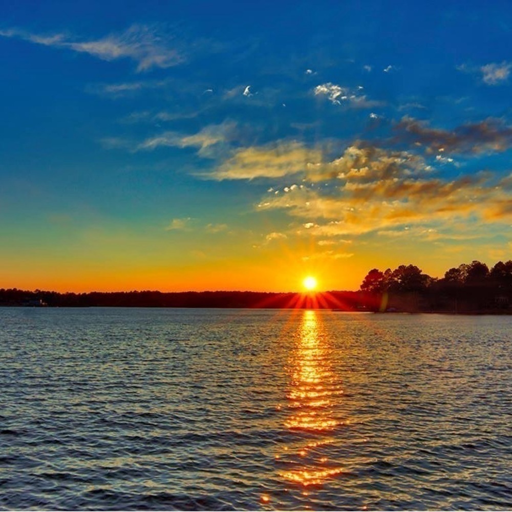 #17 Show Listing